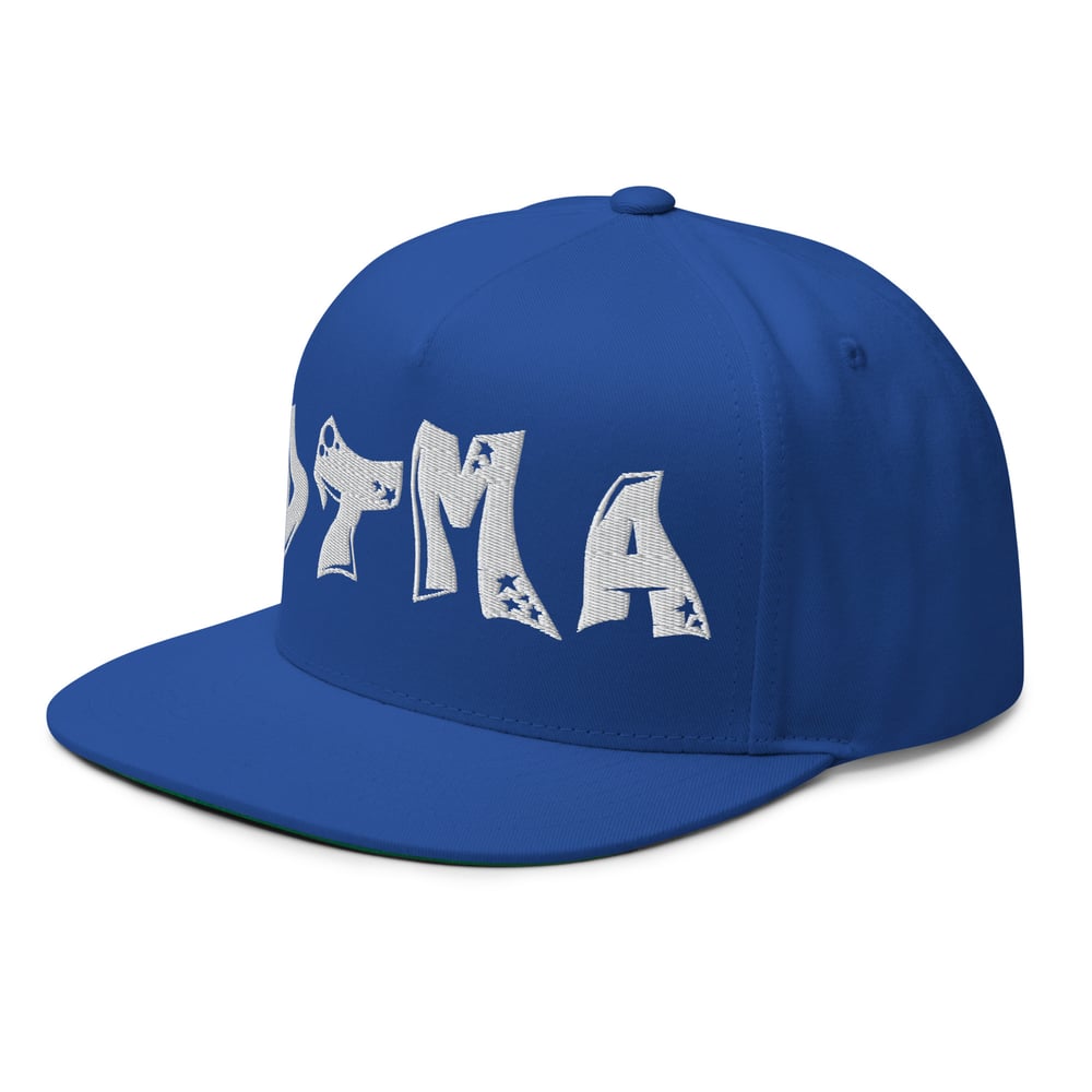 DTMA SNAPBACK