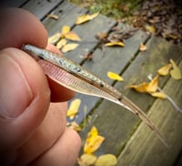 Image 2 of 2” Tracer Shad’s - ATOMIC SHAD