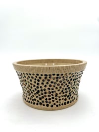 planter 4