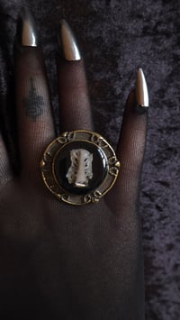 Image 6 of Crow pelvic girdle ring 