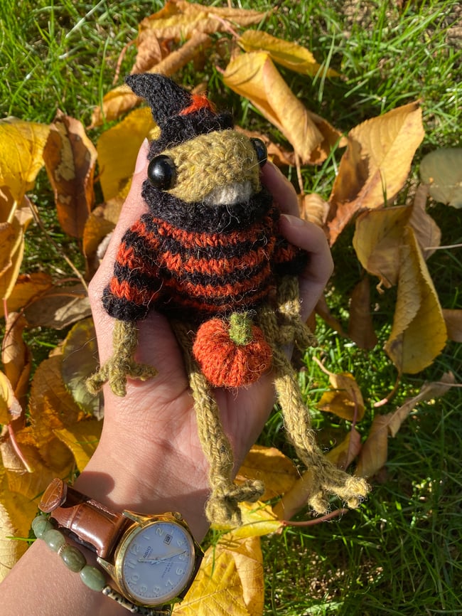 Halloween Knitted Frog