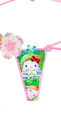 Image 4 of Melon cherry fariry hellokitty