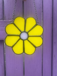 Image 2 of Yellow Daisy 🌼