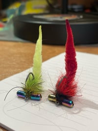 Image 3 of Wide Eyed Pollywog 