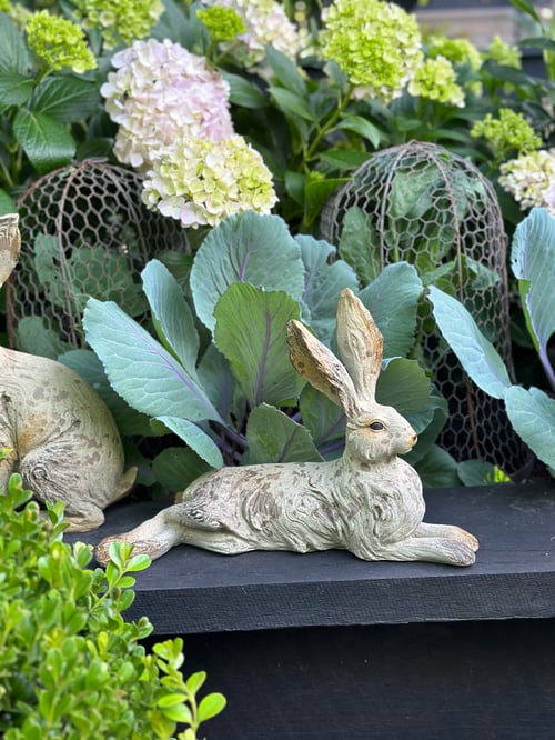 Image of Resting Hare 