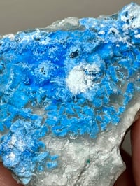 Image 20 of Rare Cyanotrichite On Green Fluorite Matrix Specimen | Guizhou China #2873