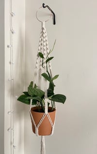 Image 1 of Simple Plant Hanger