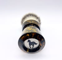 Image 5 of Tiger Eye