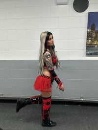 Image 4 of Harley Quinn Gear