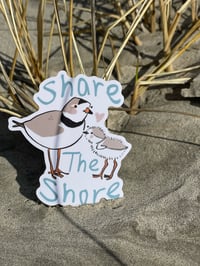 Image 1 of "Share The Shore" sticker 