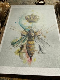 Image 4 of Print Reine 