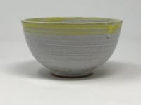 Image 1 of Small Terracotta Bowl ‘Sea creatures’