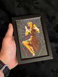 Image 2 of VINTAGE PINUP COLLECTION - with real preserved spider web - Beautiful statement piece - F