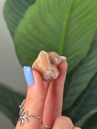 Image 2 of TUMBLED AGATE #42 -MALAWI-