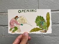 Image 5 of Opening 