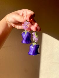 Image 5 of 💜Purple Bellflower💜 