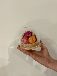 Image 3 of Med Glass Flower Dome - Everlasting Daisy
