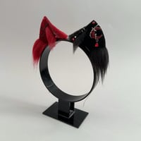 Image 2 of Vampire Kitten 1