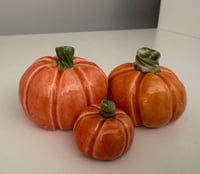 Image 3 of Pwmpenni - Pumpkins