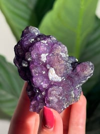 Image 6 of SELF STANDING GRAPE DISCO BALL FLUORITE -CHINA-