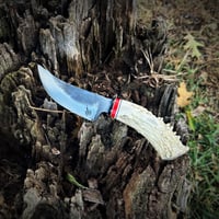 Image 2 of Skinner