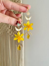 Image 1 of 🌼Daffodil Shaniquas🌼 Moon Phase