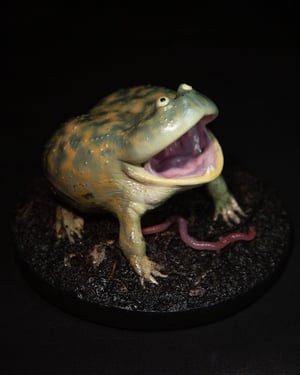 Budgett’s Frog Model II 