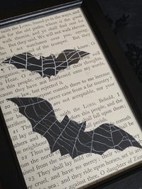 Image 3 of 1800’s biblical BATS with preserved spider web - black framed -1