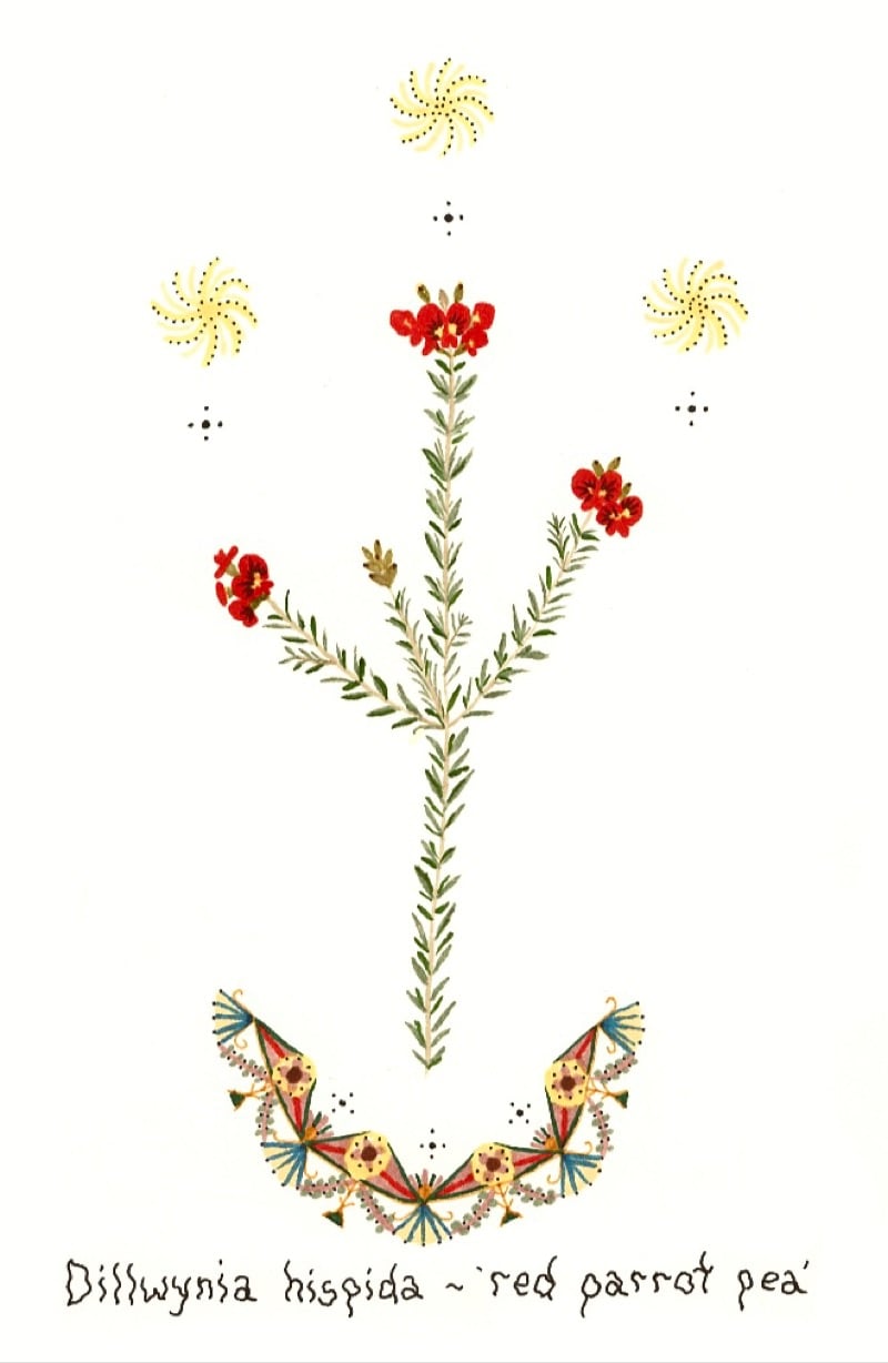 Image of Dillwynia hispida - red parrot pea (A5 print)