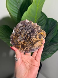 Image 1 of NATURAL RAINBOW IRIDESCENT CUBIC FLUORITE -CHINA- A