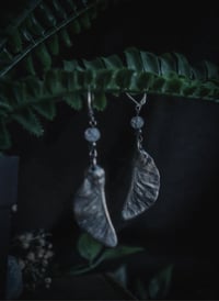 Image 2 of Real maple seed earrings