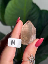 Image 14 of CHOOSE YOUR OWN MINI RUTILE SMOKEY QUARTZ POINTS (NATURAL UNPOLISHED POINTS) -BRAZIL- LOT 1