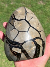 Image 6 of Septarian Nodule Polished Freeform With Calcite Inclusions| Madagascar #2899