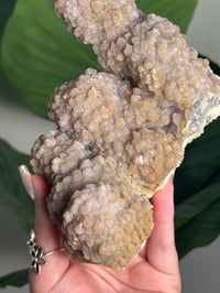 Image 3 of SELF STANDING SPARKLY APOPHYLITE STALACTITES -INDIA- G