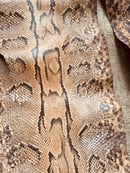 Image 4 of Authentic Whole Python Snake Skin 