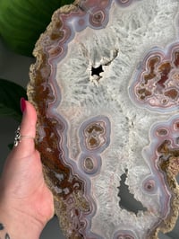 Image 4 of XL AGUA NUEVA AGATE SLAB