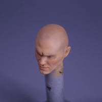 Image 4 of Viper