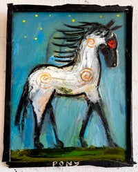 Pony