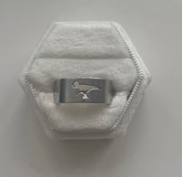 Dinosaur Ring- Mens
