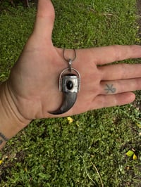Image 5 of Large Black bear claw pendant 2