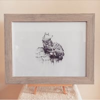 Image 1 of Fox