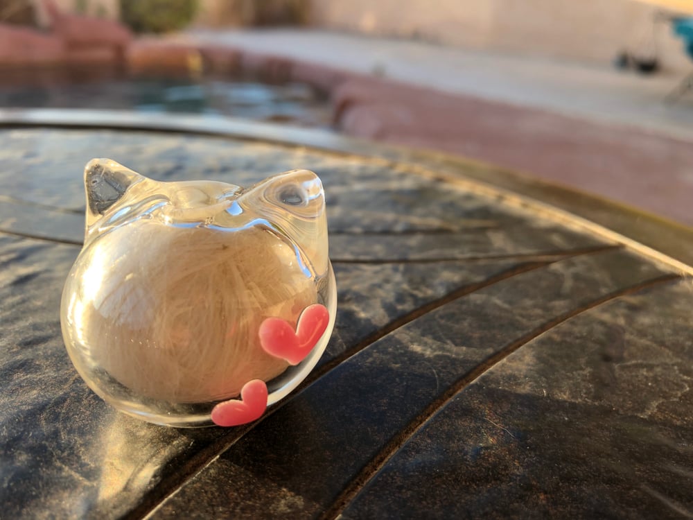 Image of Mini Neko bank 