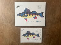 Reproduction Linocut Print - perch