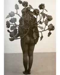 Image 4 of Portal for Kiki