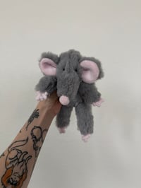 Image 5 of Mystery Rat Pre-Orders 