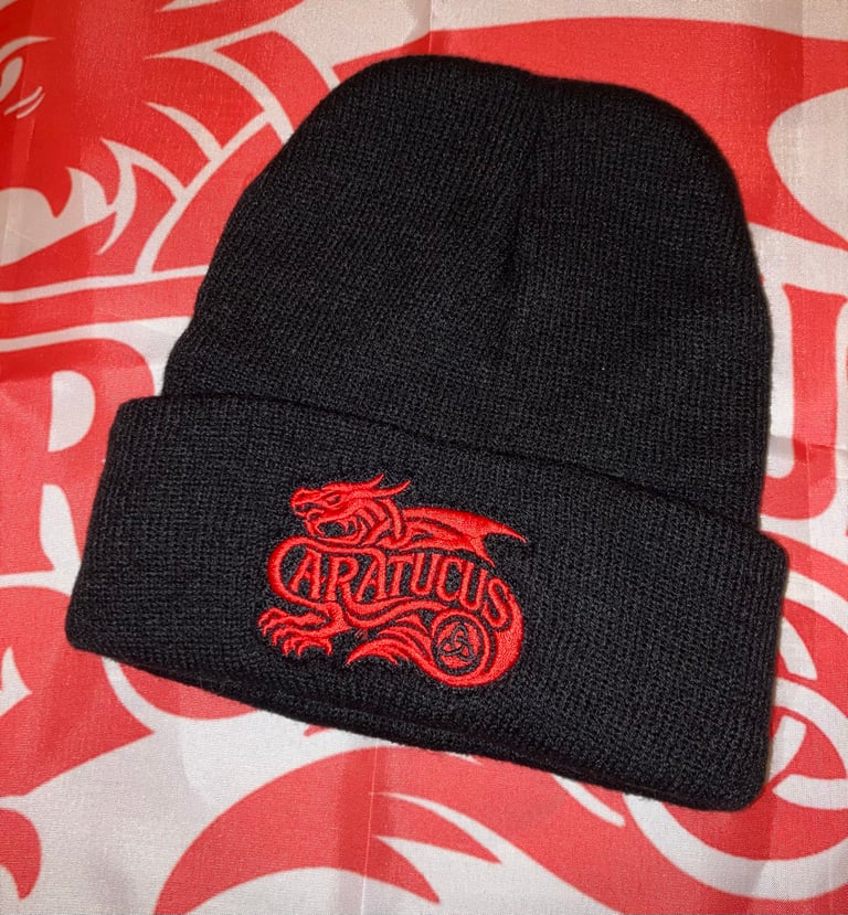 Logo beanie hat 