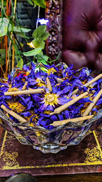 Image 1 of 👑The Armored Kingdom Natural Blue Lotus Flower Pre Rolls (10 in a Pack)