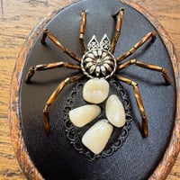Image 3 of Toothy spider (b, 2x2.5 inches)