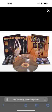 Sickening Erotic Fanaticism LP