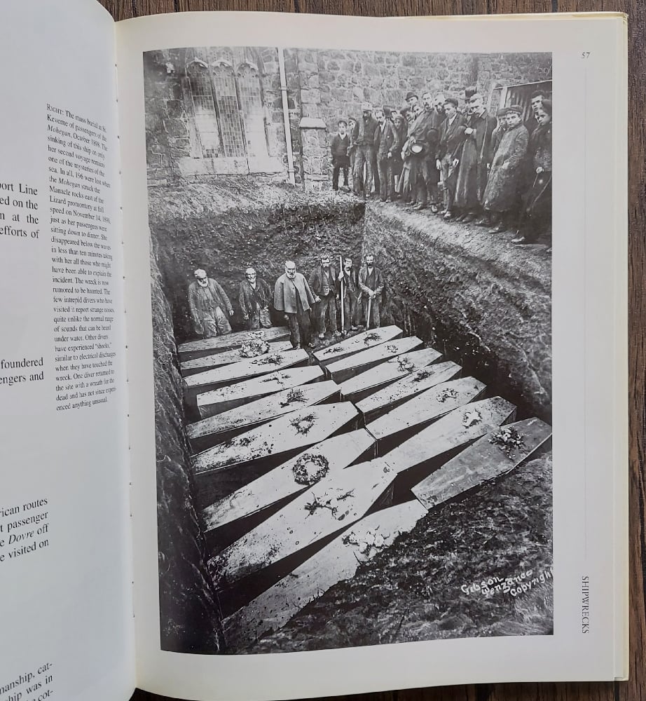 Shipwrecks, by Karen Farrington